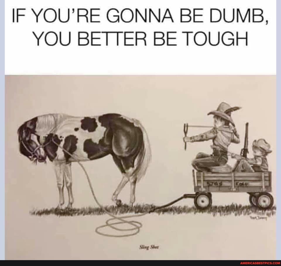 IF YOU'RE GONNA BE DUMB,
YOU BETTER BE TOUGH
