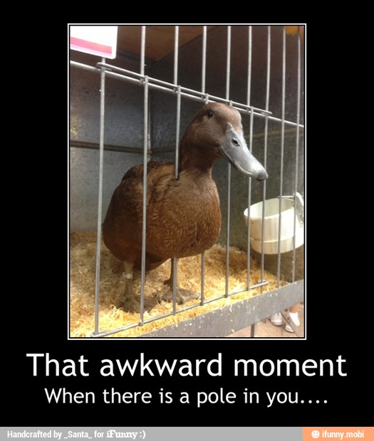 That awkward moment
When there is a pole in you.... - That awkward moment
When there is a pole in you....
