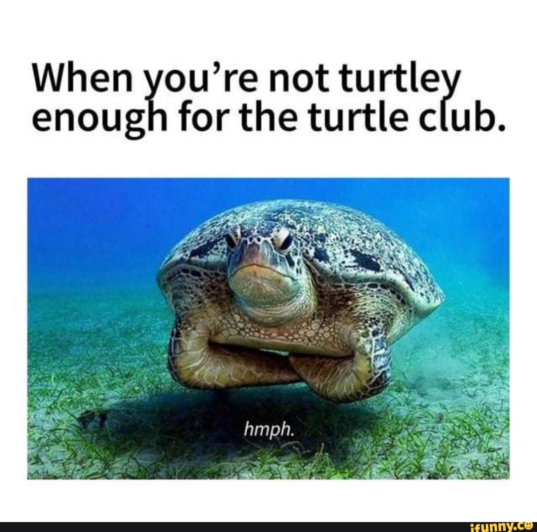 When you re not the turtle club. turtley enough for the turtle c hmph. - )