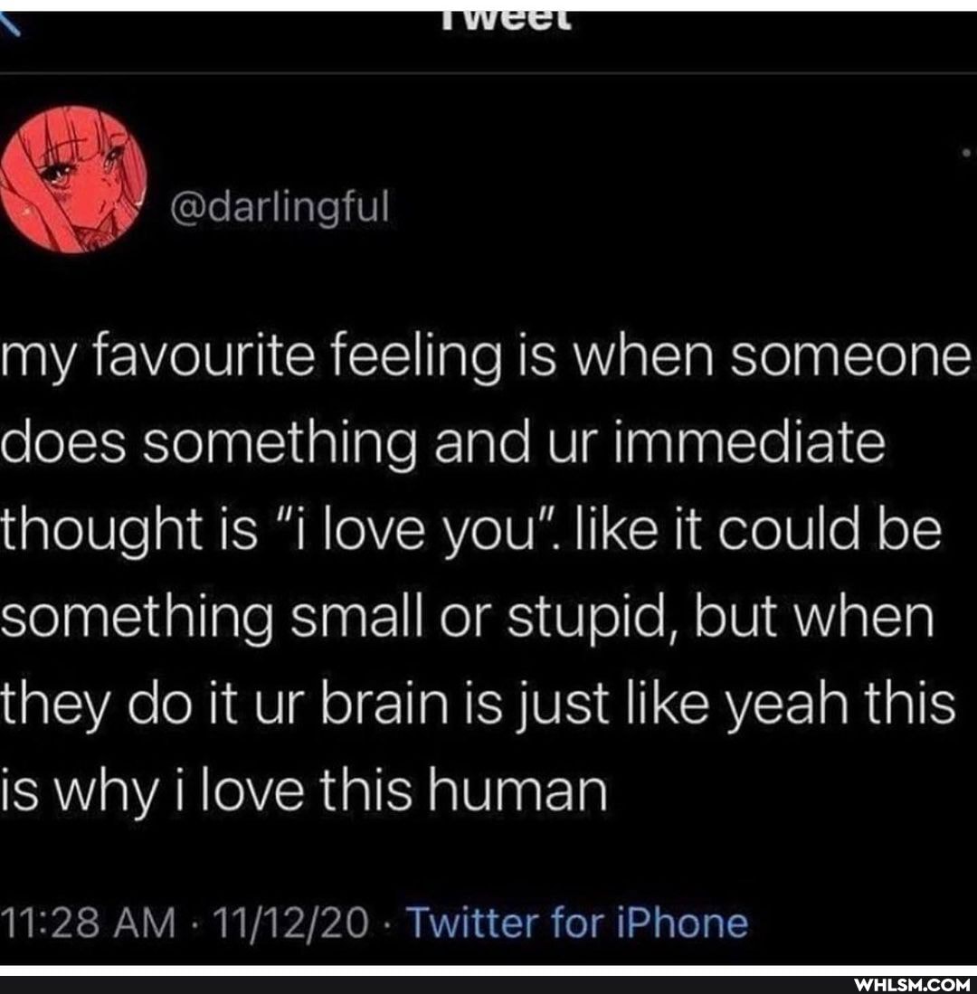 @darlingful
my favourite feeling is when someone does something and ur immediate thought is "i love you" like it could be something small or stupid, but when they do it ur brain is just like yeah this is why it love this human
AM - - Twitter for iPhone