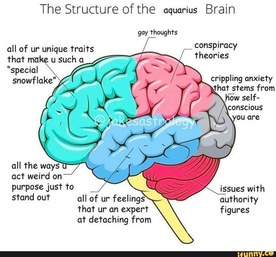 No Ads In My Post - The Structure Of The Aquarius Brain Gay Thoughts 