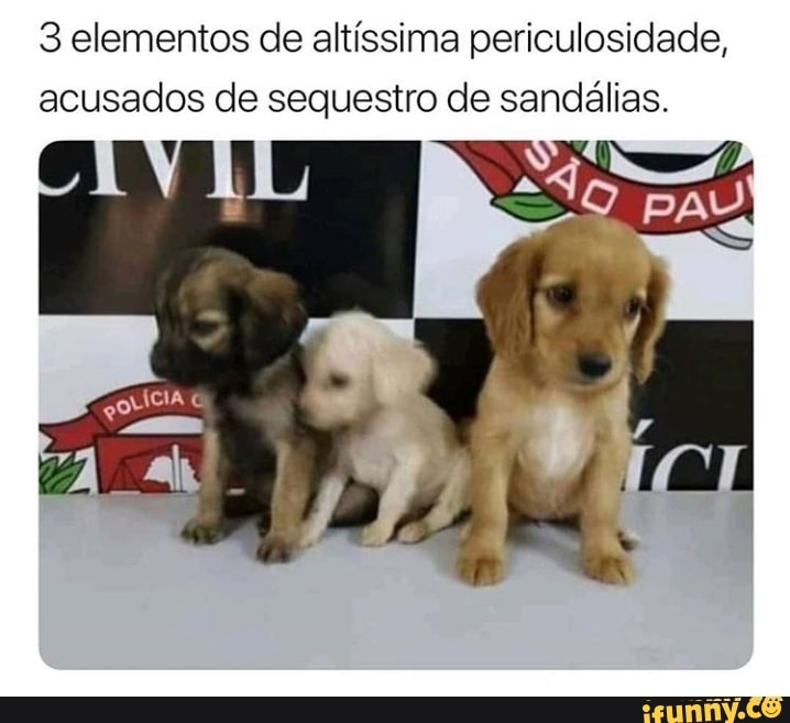3 elementos de altíssima periculosidade,
acusados de sequestro de sandálias.
