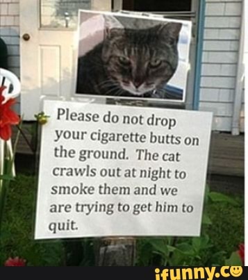 Please do not drop your cigarette butts on the ground. The cat crawls out at night to smoke them and we are trying to get him to quit