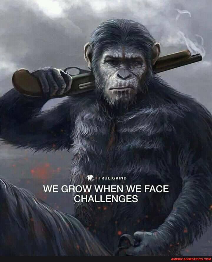 I TRUE
GRIND
WE GROW WHEN WE FACE CHALLENGES