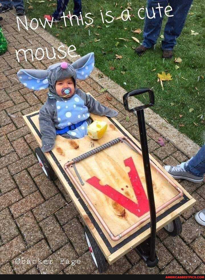 low tnis a cure
MOUSE.