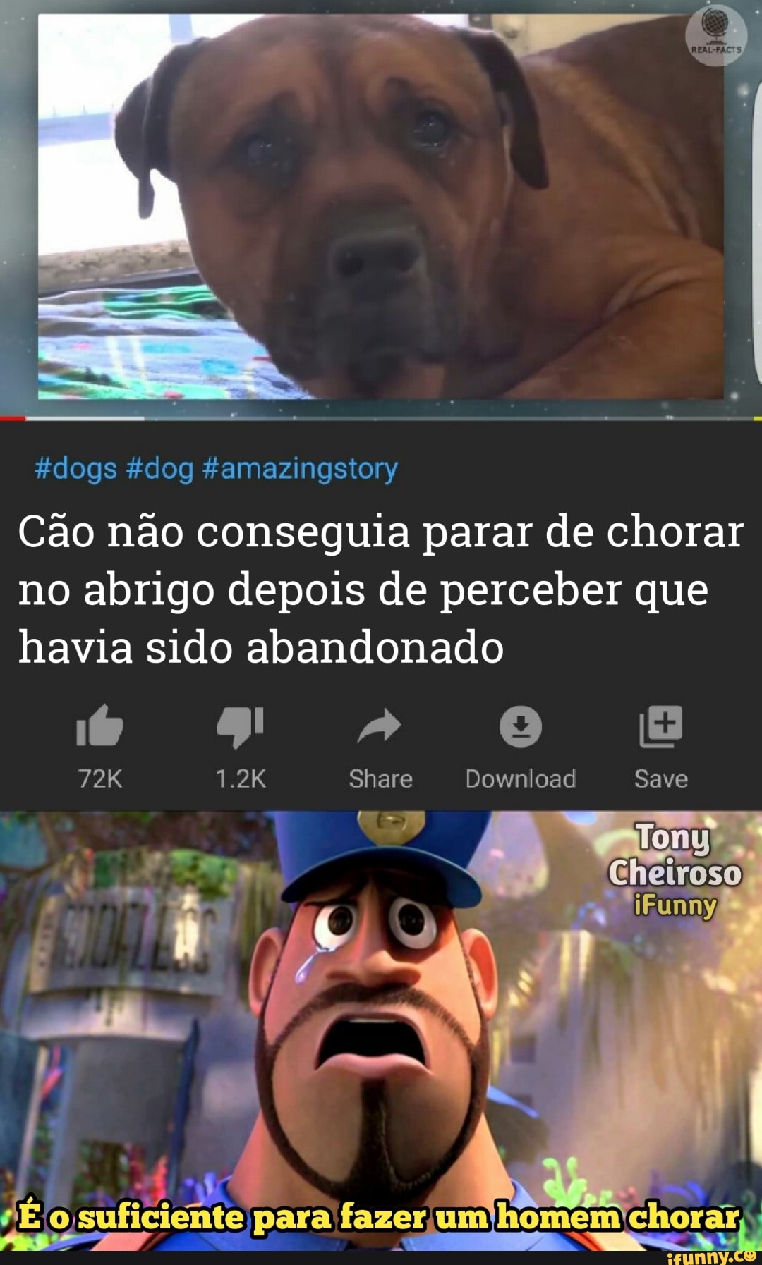 dogs dog Zamazingstory
Cão não conseguia parar de chorar no abrigo depois de perceber que havia sido abandonado
gs" B
1.2K Share Download Save
É o suficiente para fazer umihomem chorar,