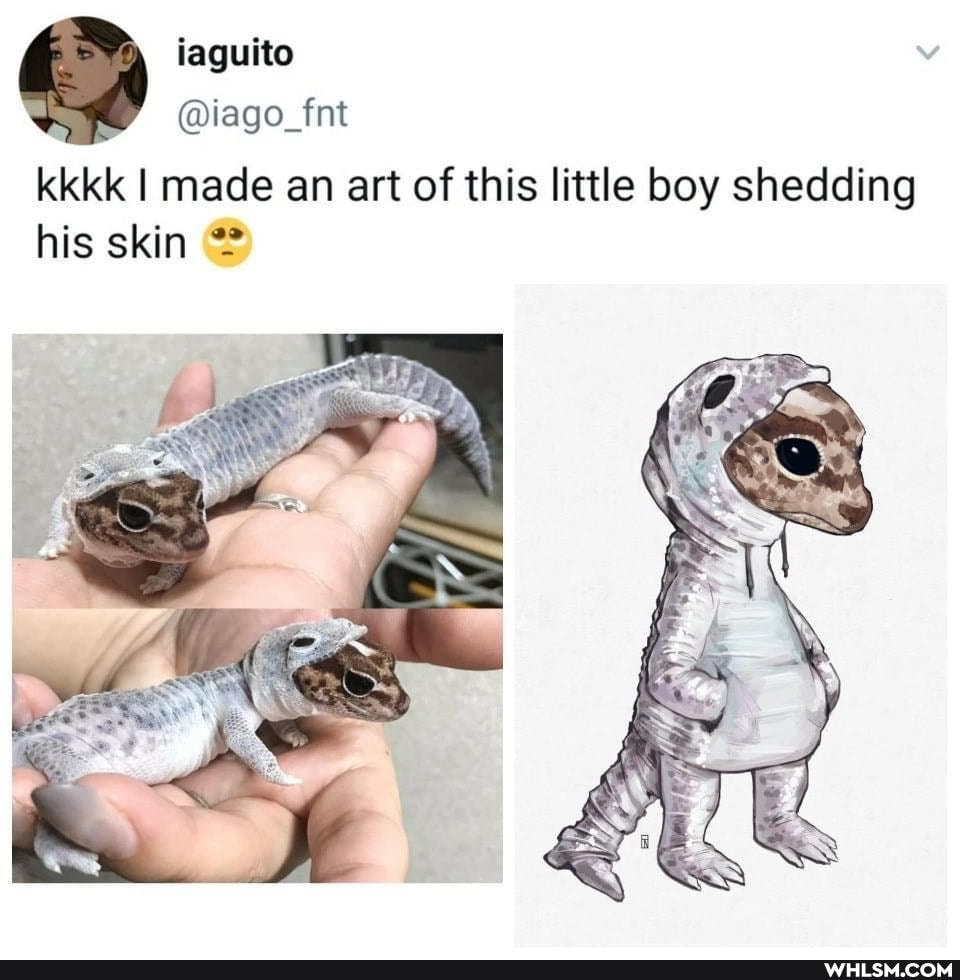@iago_fnt
kkkk I made an art of this little boy shedding his skin