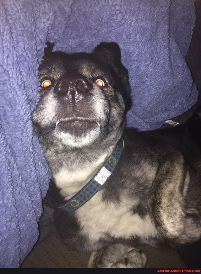 wanted, cute, picture, forgot, flash