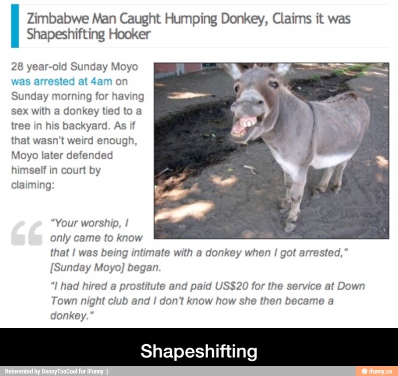 Zimbabwe Man Caught Humping Donkey