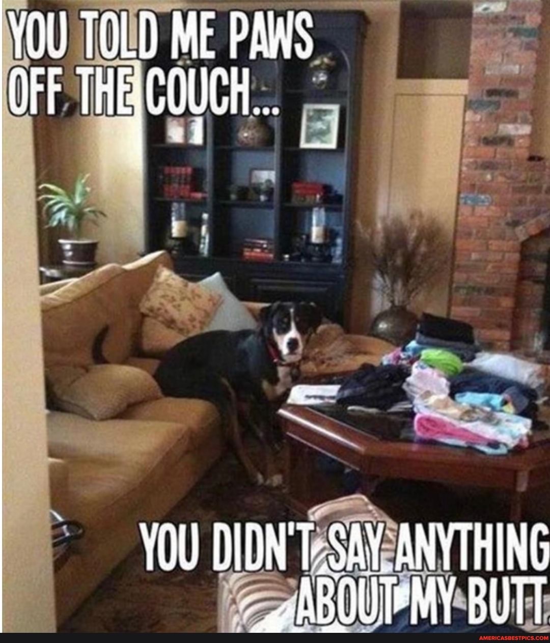 YOU TOL ME PAWS OFF THECOUCH..
YOU DIDN'T ANYTHING
_gABOUTEMY BUTT