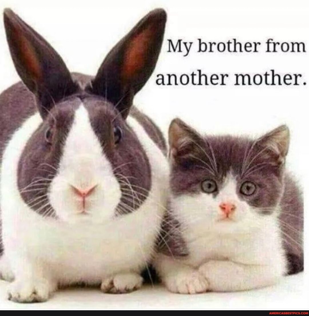 My brother from another mother.