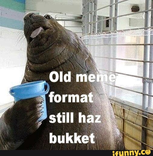 Old meme format still haz bukket - iFunny