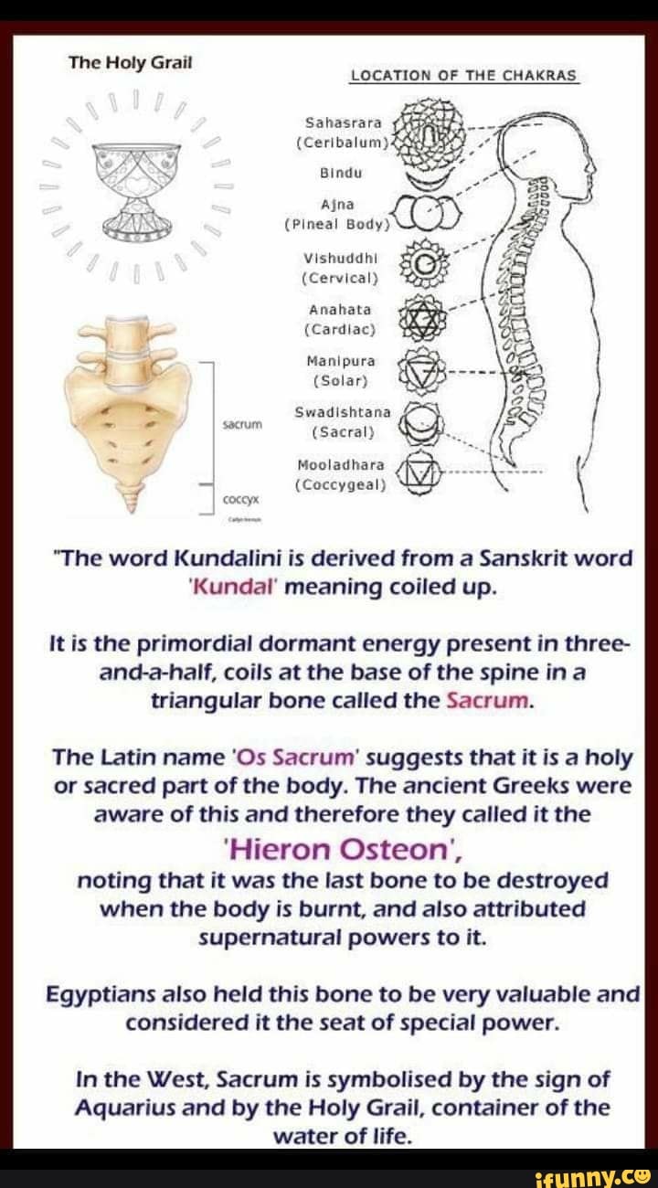 Is Greek Derived From Sanskrit