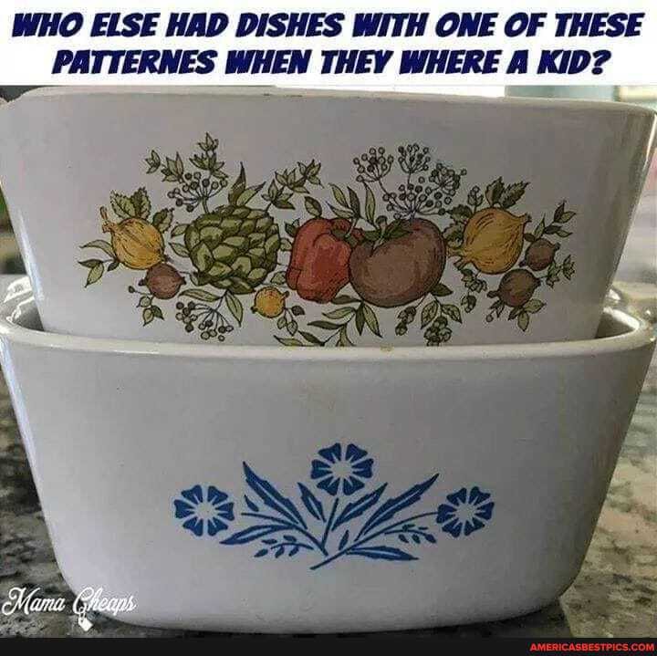 WHO ELSE HAD DISHES WITH ONE OF THESE PATTERWES WHEN THEY WHERE A KID?