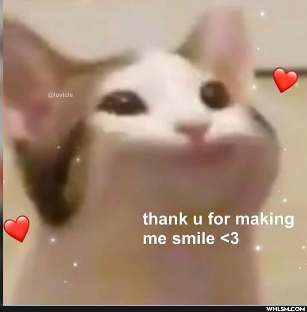 thank u for making me smile <3