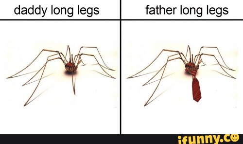 Daddy long legs memes
