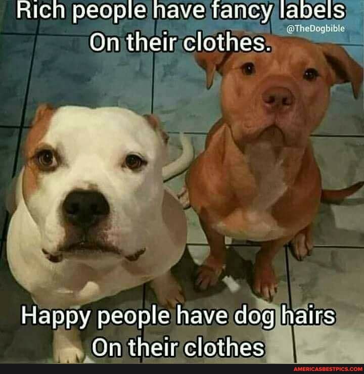 Rich people nave fancy labels
On their clothes.
Happy have dog hairs
On then clothes