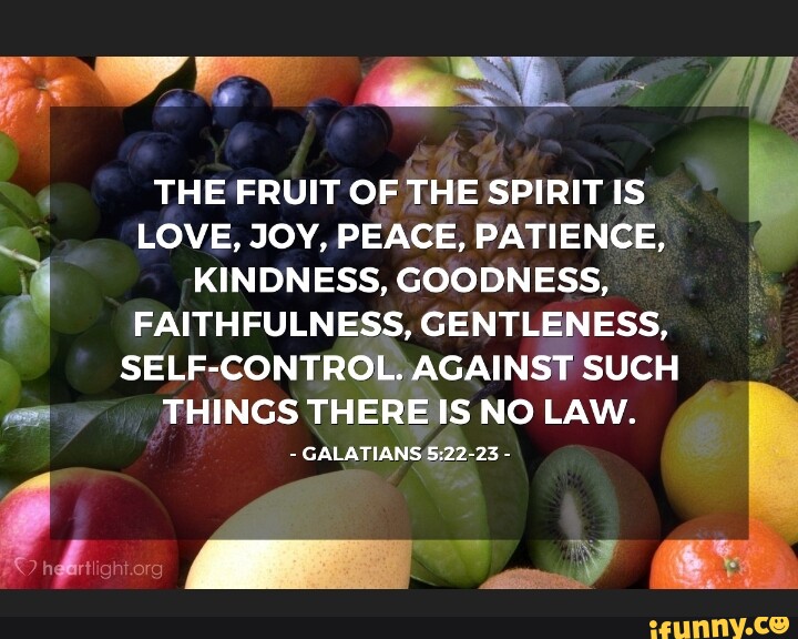 THE FRUIT OF THE SPIRIT IS LOVE, JOY, PEACE, PATIENCE, KINDNESS ...