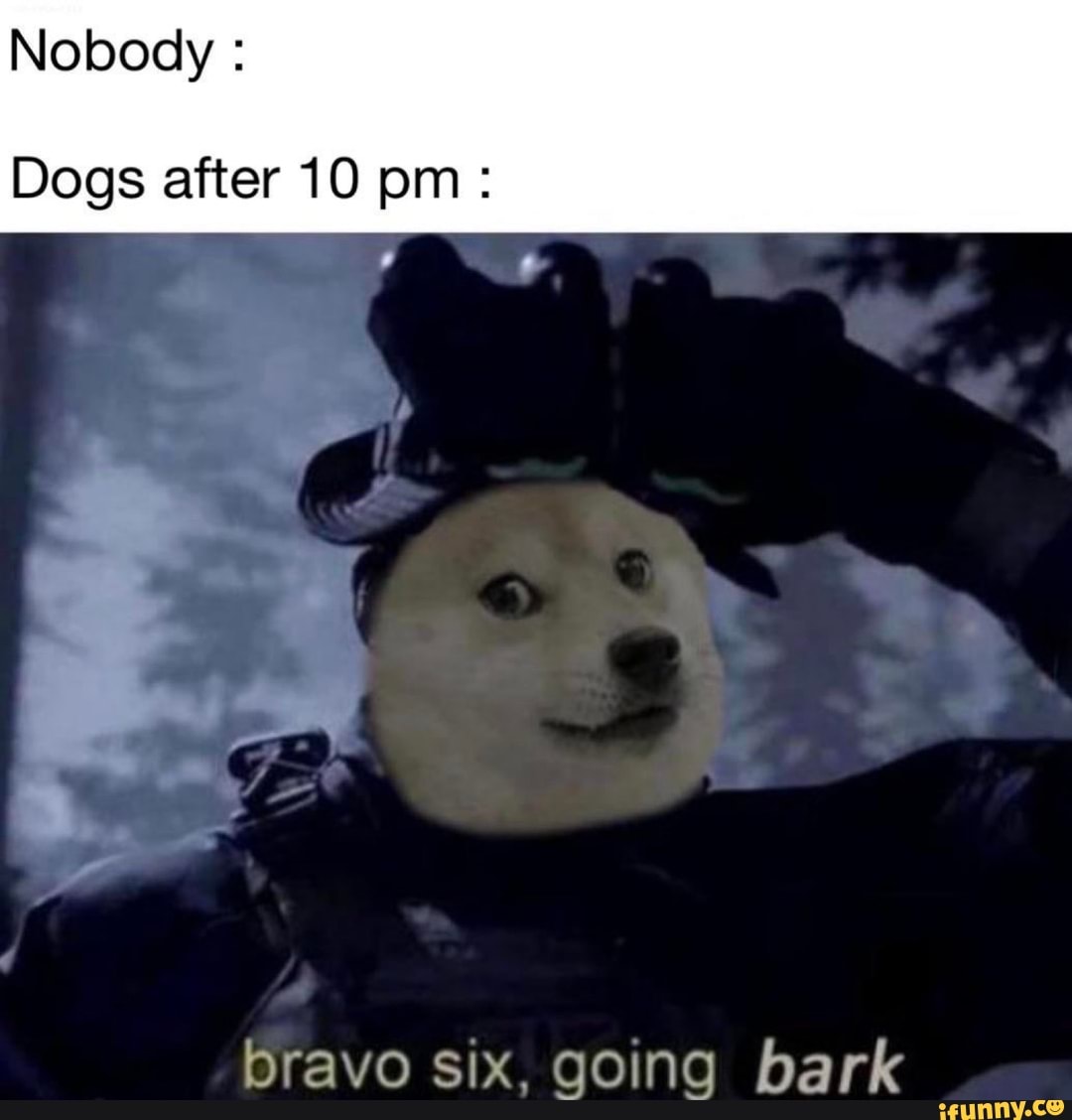 Featured image of post Bravo 6 Going Bark Why would they go back on that