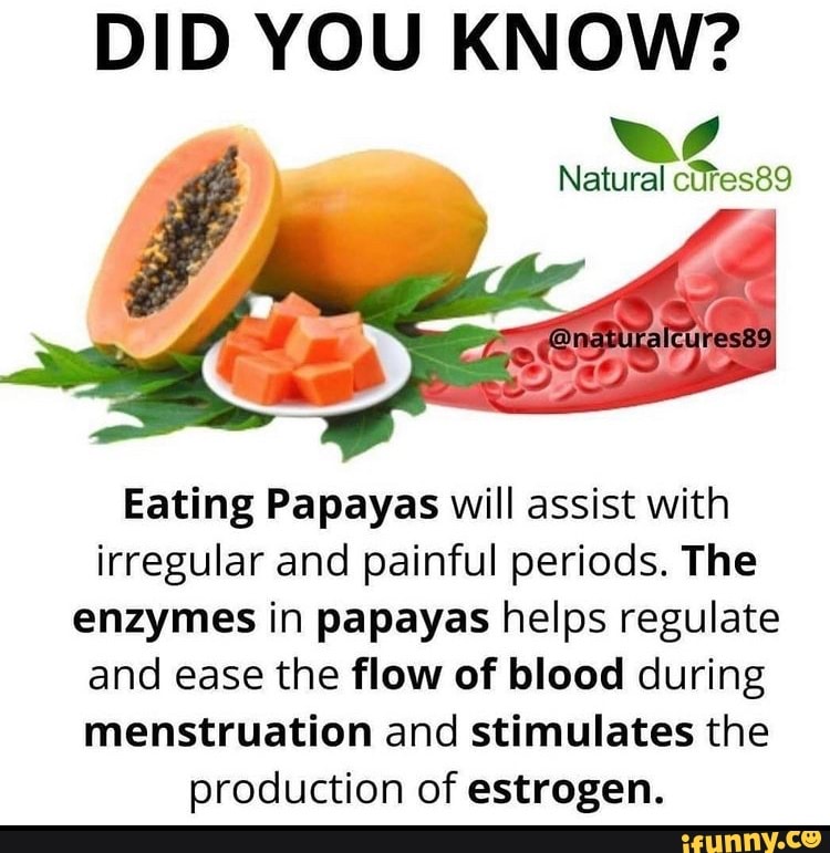 DID YOU KNOW? Natural ctes89 Eating Papayas will assist with irregular
