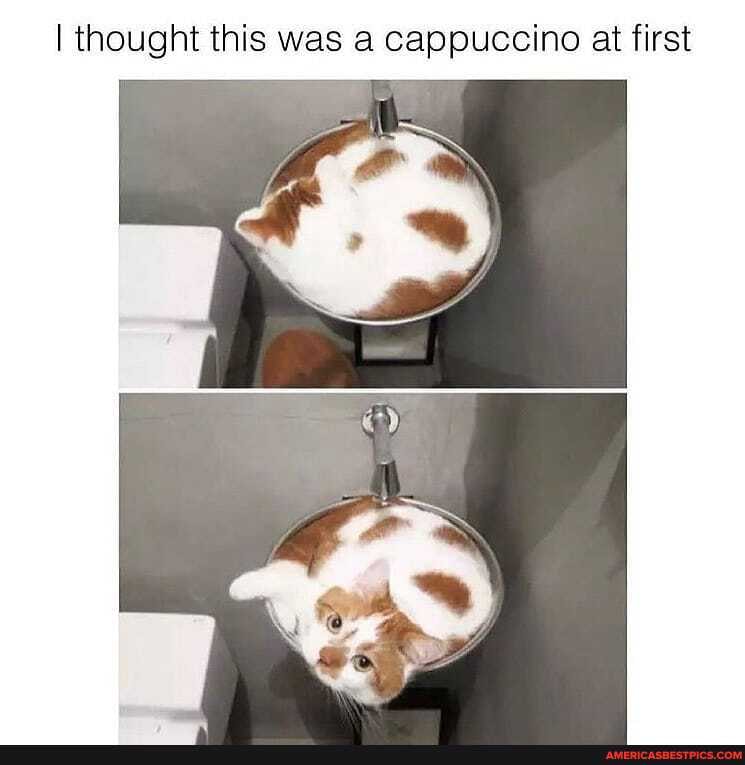 I thought this was a cappuccino at first