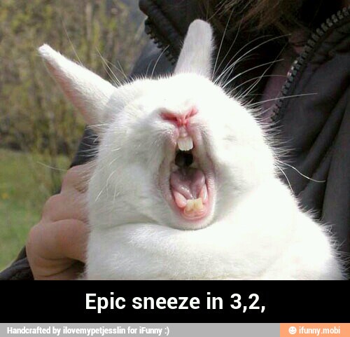 Epic sneeze in 3,2, - Epic sneeze in 3,2,