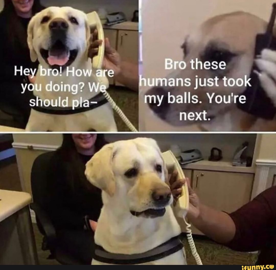y balls. You're
