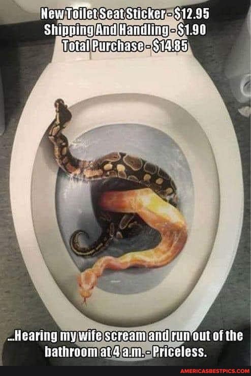 New Tailet Seat Sticker - 312.95
Sluoning: had
Total Piigehase Si285
Heariig my wite scream run out of the hothraam atadain -Prirelece