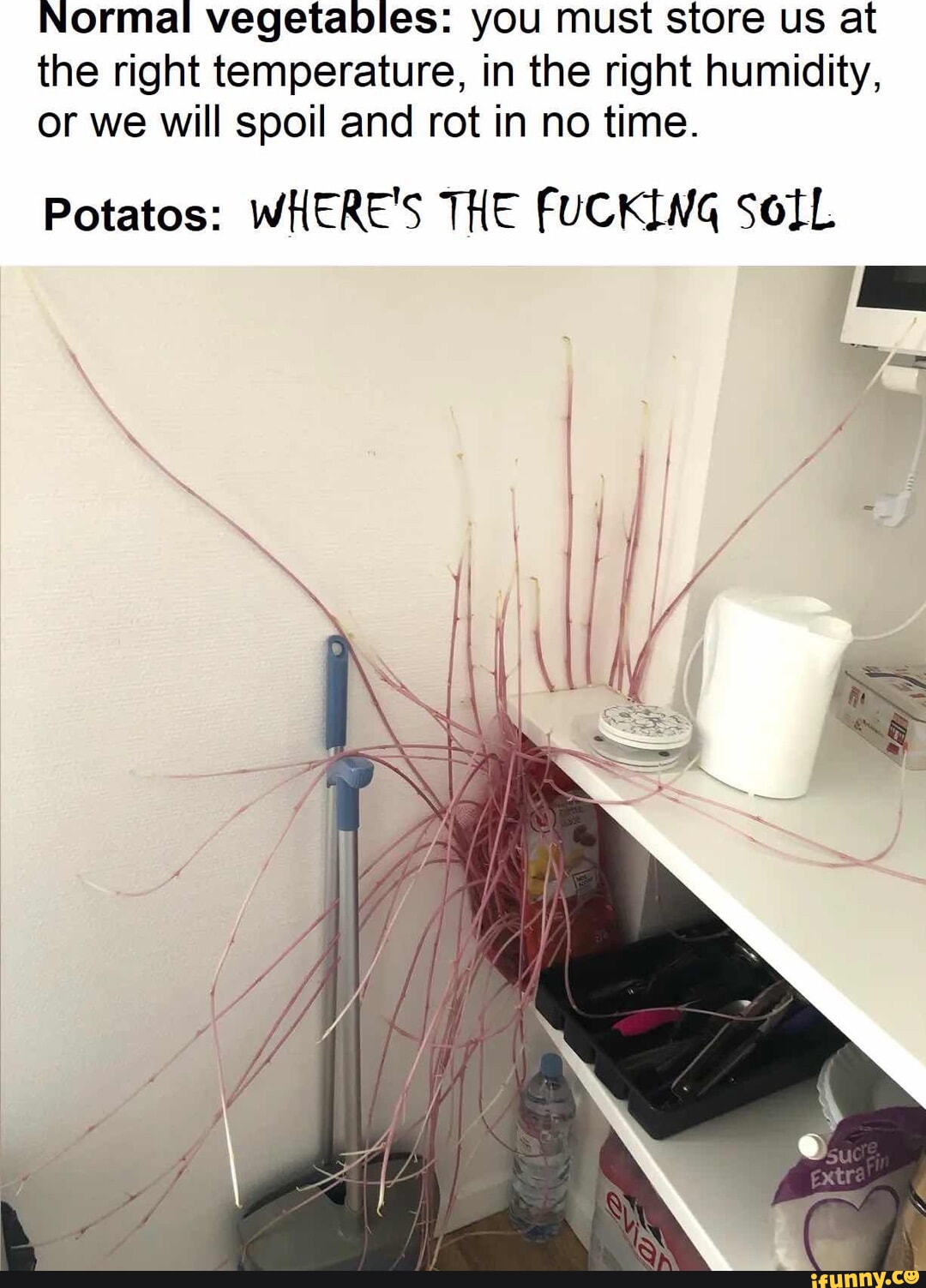 Picture memes Dok79ybrA by rococoesque iFunny