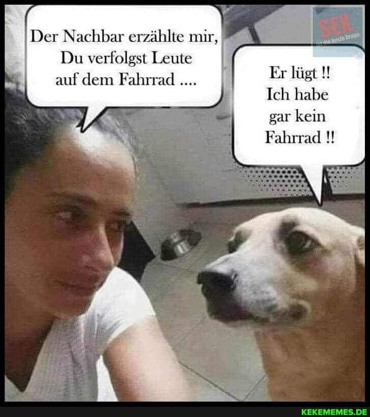 Der Nachbar erzählte mir,
Du verfolgst Leute auf dem Fahrrad
Er lügt
Ich habe gar kein
Fahrrad