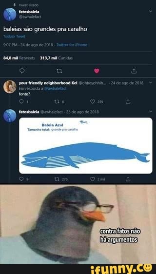 baleias são grandes pra caralho
