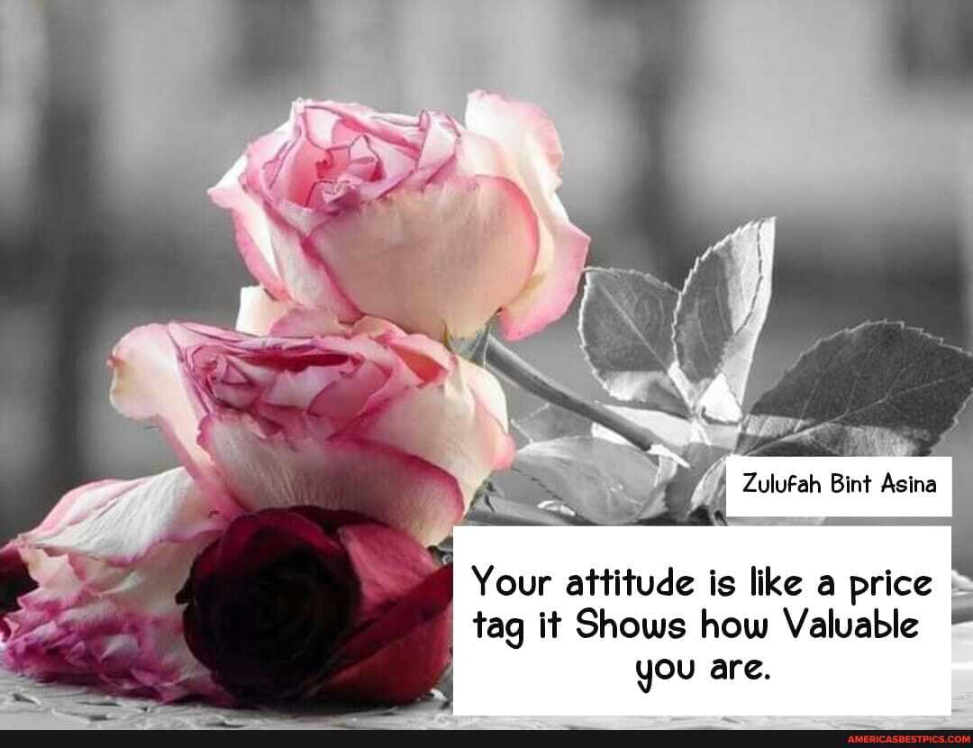 Zulufah Bint Asina
Your attitude is like a price tag it Shows how Valuable you are.