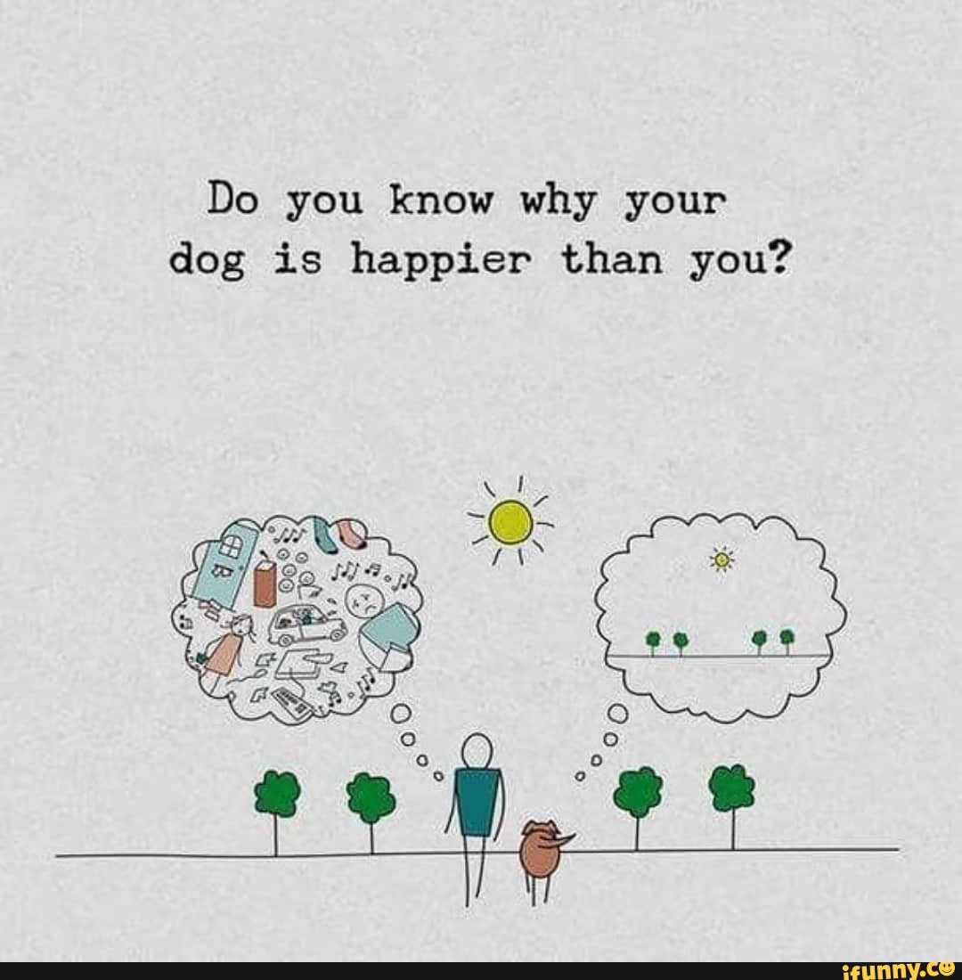 Do you know why your dog is happier than you? iFunny