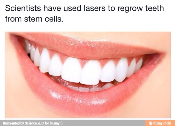 Scientists have used lasers to regrow teeth from stem