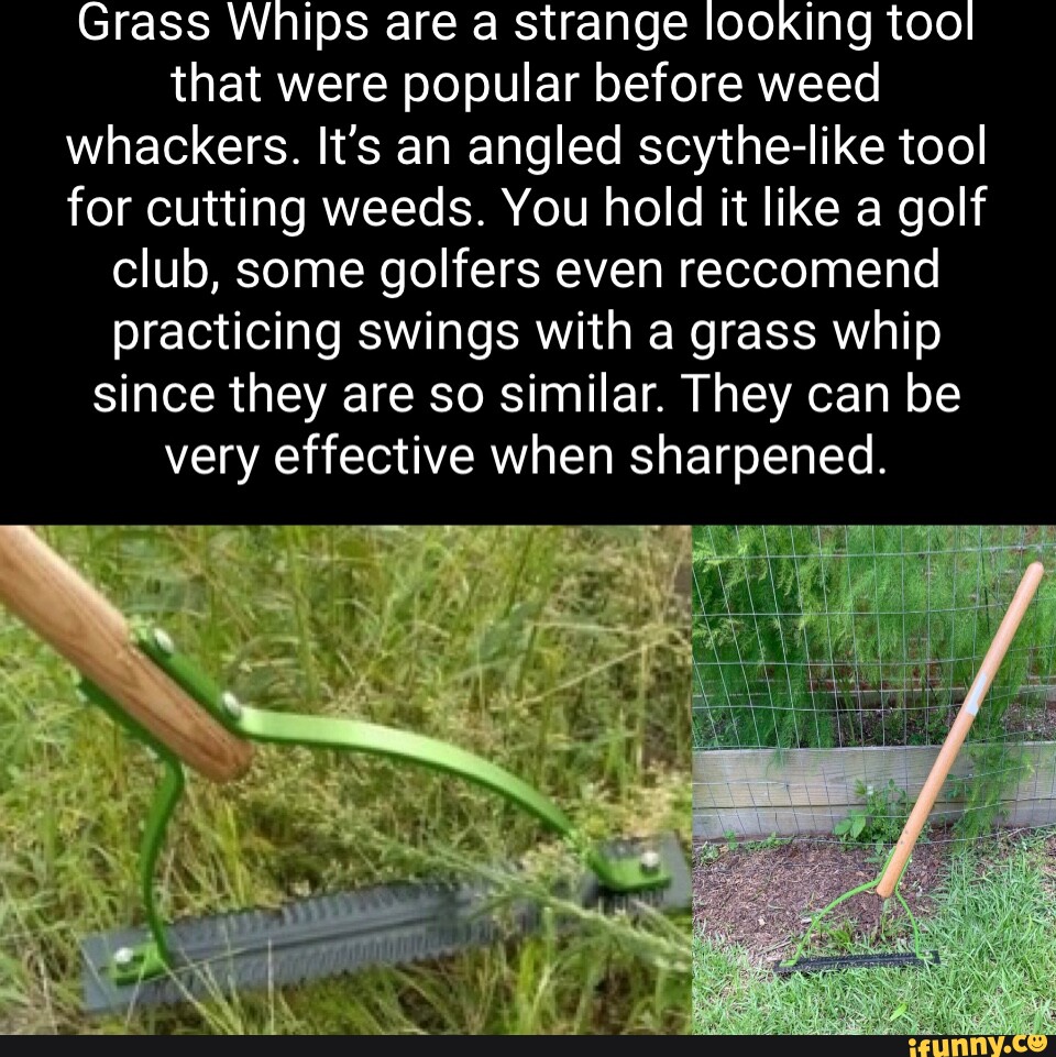 Grass Whips are a strange looking tool that were popular before weed