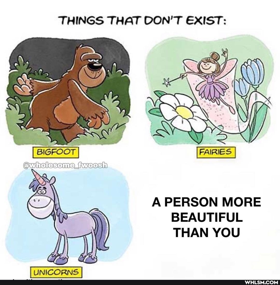 THINGS THAT DON'T EXIST:
FAIRIES
A PERSON MORE BEAUTIFUL THAN YOU
