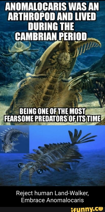 ANOMALOCARIS WAS AN ARTHROPOD AND LIVED DURING THE CAMBRIAN PERIOD ...