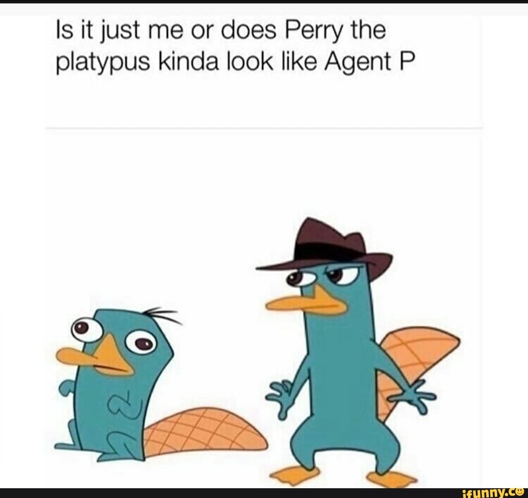 Is it just me or does <b>Perry</b> the <b>platypus</b> kinda look like Agent P.