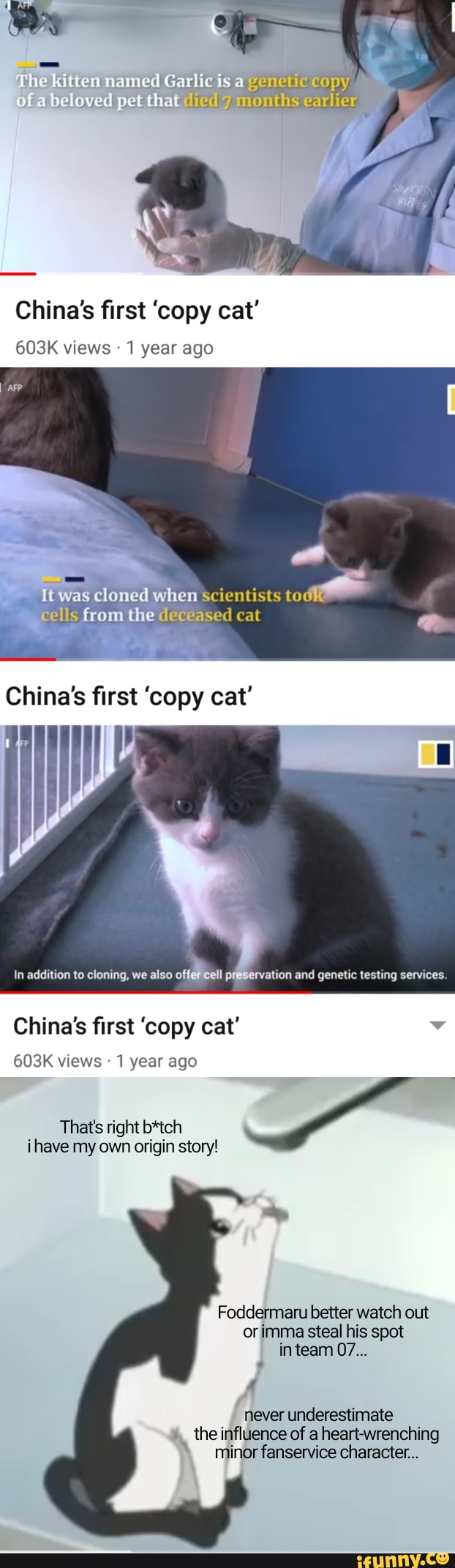 The kitten named Garlic is a copy of a beloved pet that months