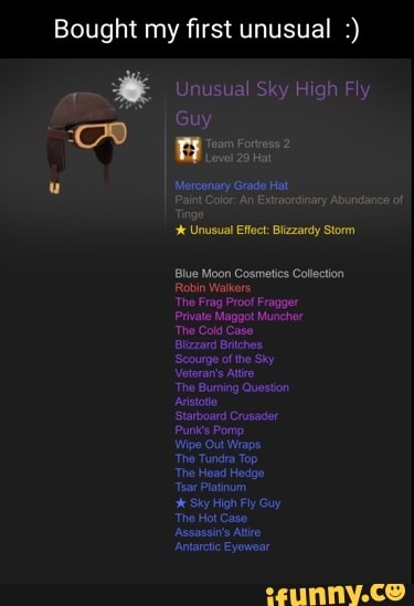 Bought first Unusual Sky High Fly Guy I "Team Fortress Mercenary 29 Hat