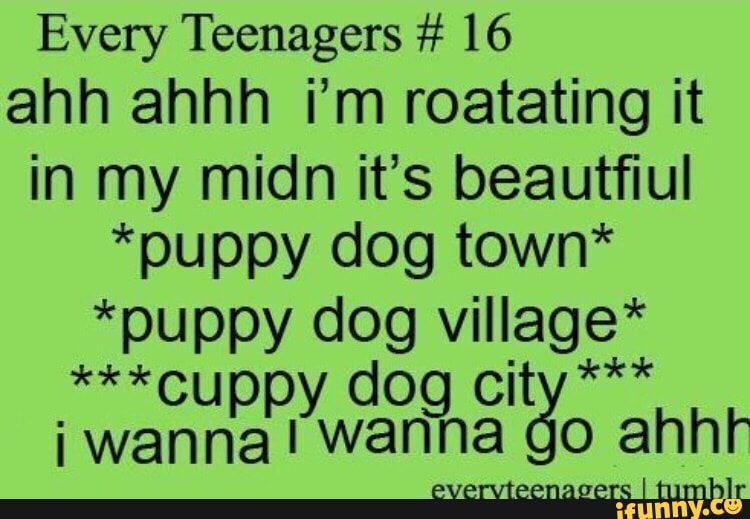 Every Teenagers 16 Ahh Ahhh I M Roatating It In My Midn It S Beautﬁul Puppy Dog Town Ifunny