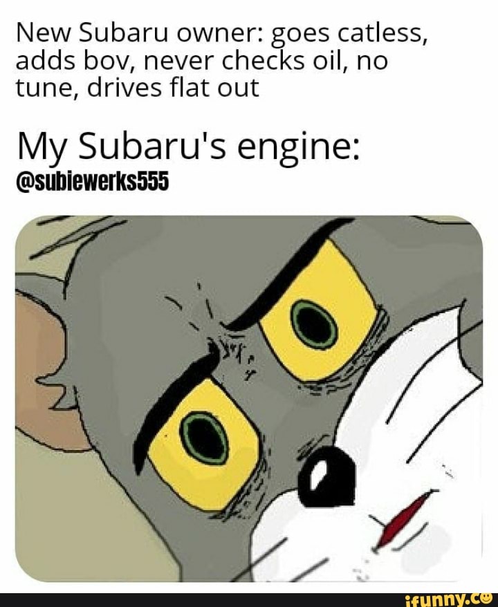 New Subaru owner: goes catless,
adds bov, never checks oil, no
tune, drives flat out
My Subaru's engine: