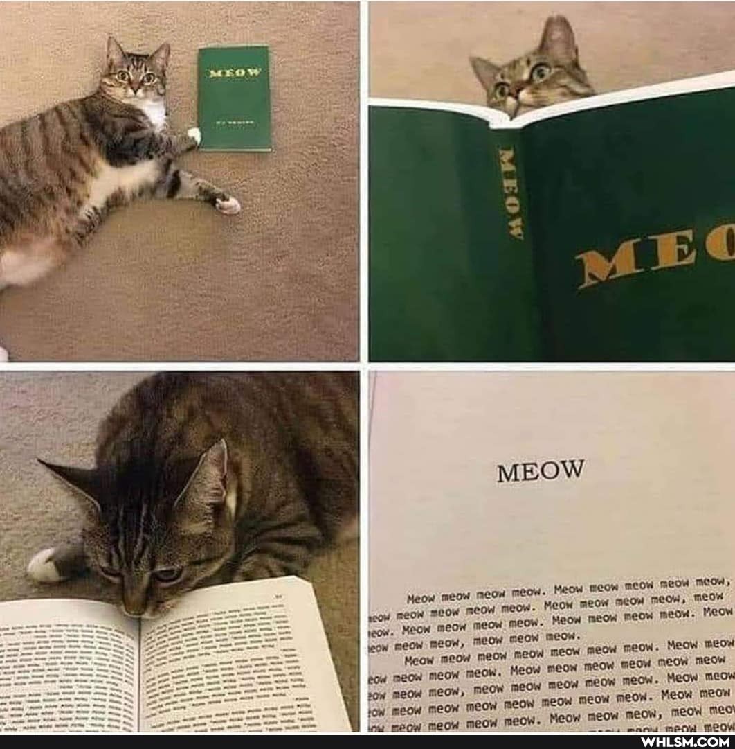 Meow meow meow MeOW: poow REOW MEOW COW MEOW: Meow jeow. MEOW MEOW meow meow. Meow ow, meow meow meow meow meow meow, Meow
OW MEOW
jeon meOW
tow meow meow son meow MeOW, Me tow meow meon meow
MEOW
Meow meow meow
meow meOW MEO'
mEOW MOd,
Meow meow meow MCOH, meow
Meow meow meow meow. Meow meow.
Meow meow
meow meow meow meow. MEOW MEOw
meow meow meow.
meow. Meow meow
Menw meow meow, meow