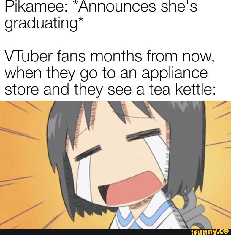 Pikamee "Announces snes graduating* VTuber fans months from now, when