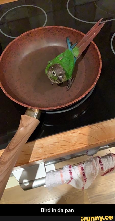 Bird in da pan - Bird in da pan