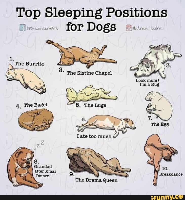 tm sleep positions