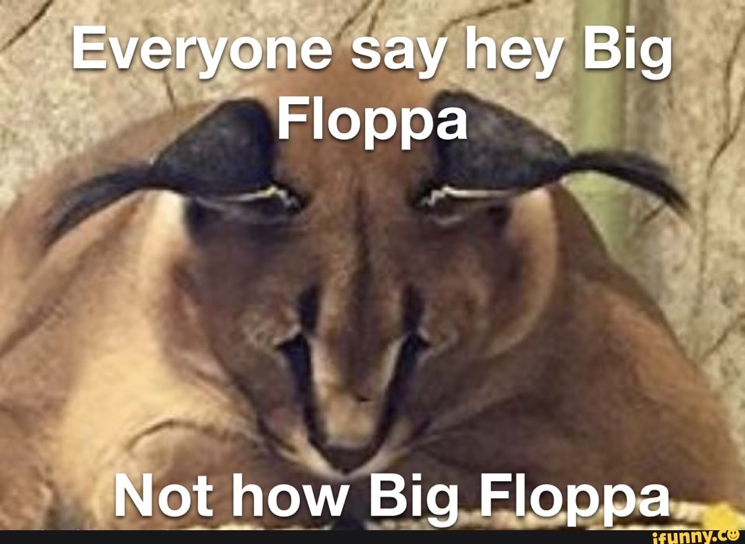 Woken Memes - Big Floppa has liberated my heart ❤️