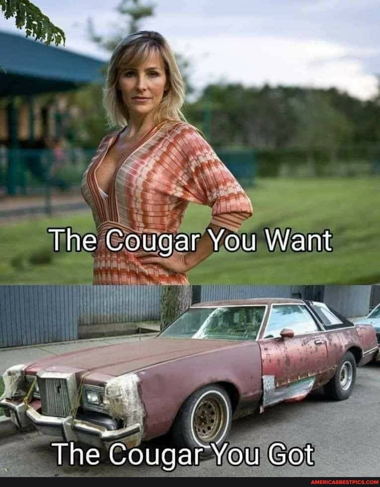The Cougar You Want
The Couaar You Got