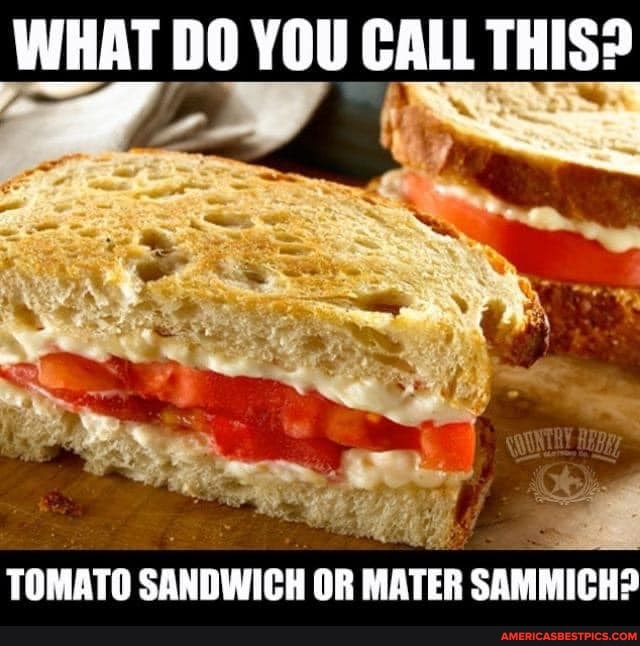 WHAT DO YOU CALL THIS?
TOMATO SANDWICH OR MATER SAMMICH?