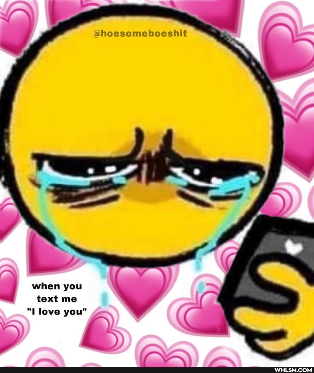 @@hoesomeboeshit
when you text me love you"